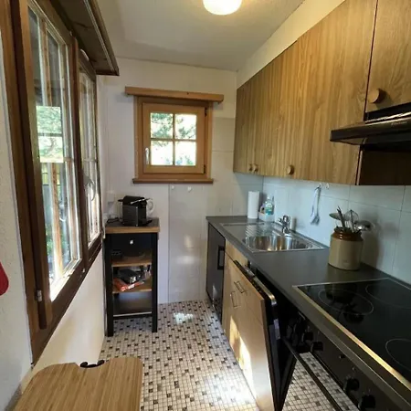 Burdi By Interhome Flums