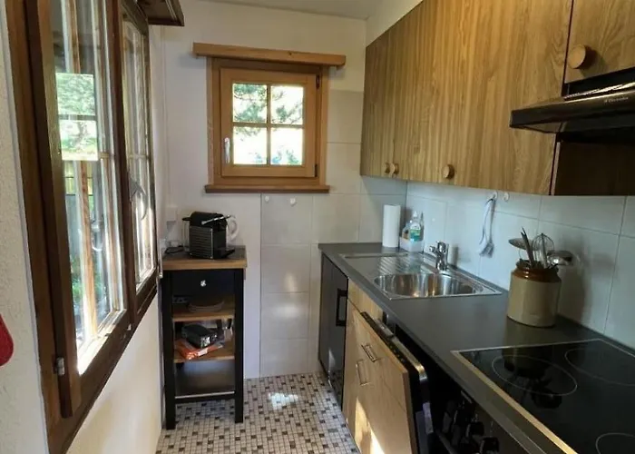 Burdi By Interhome Flums