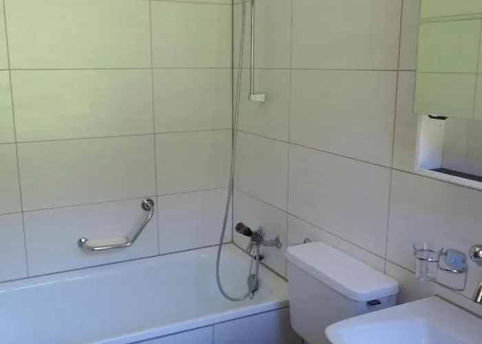 Burdi By Interhome Flums